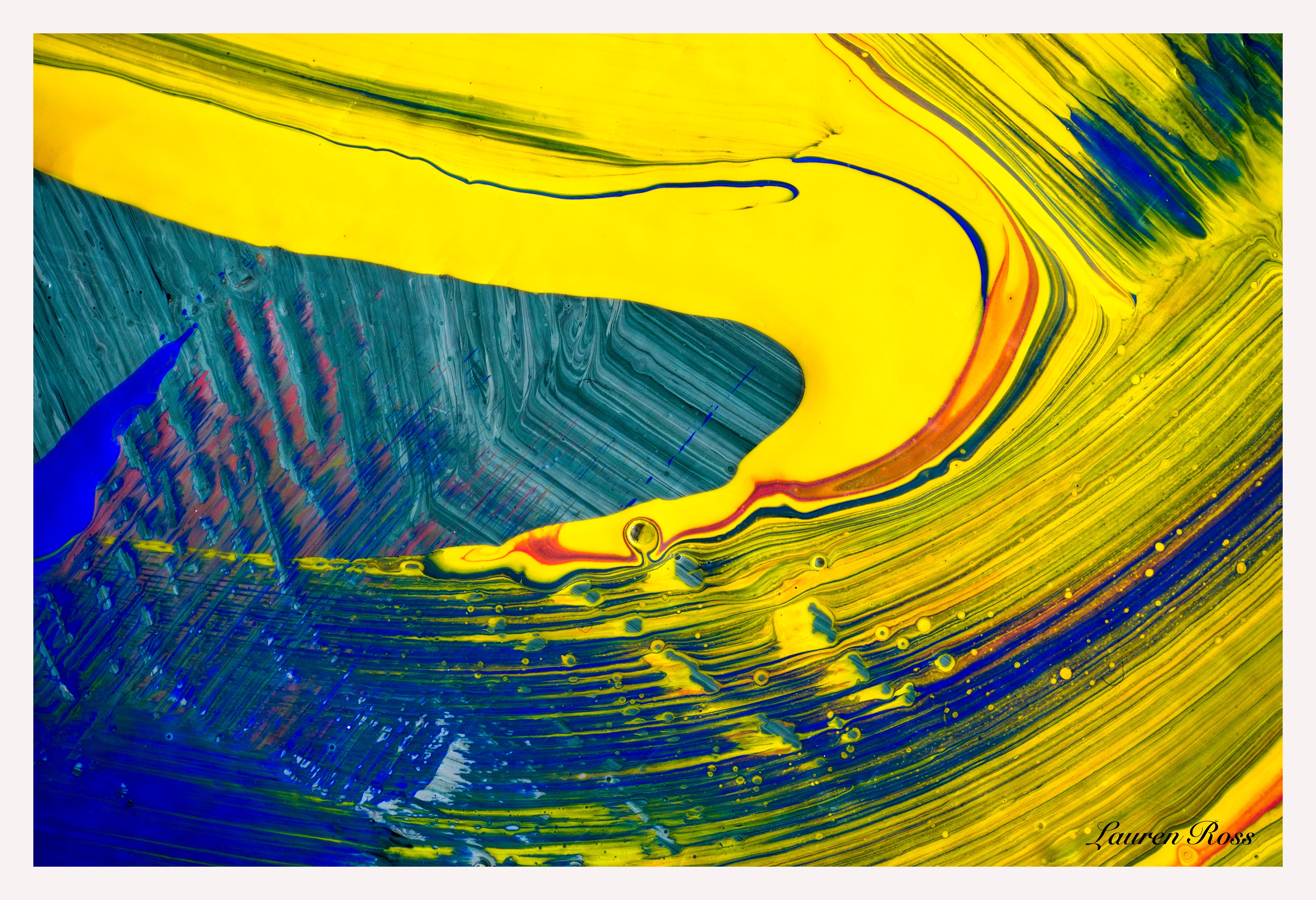 lauren ross design inside seven 16 print