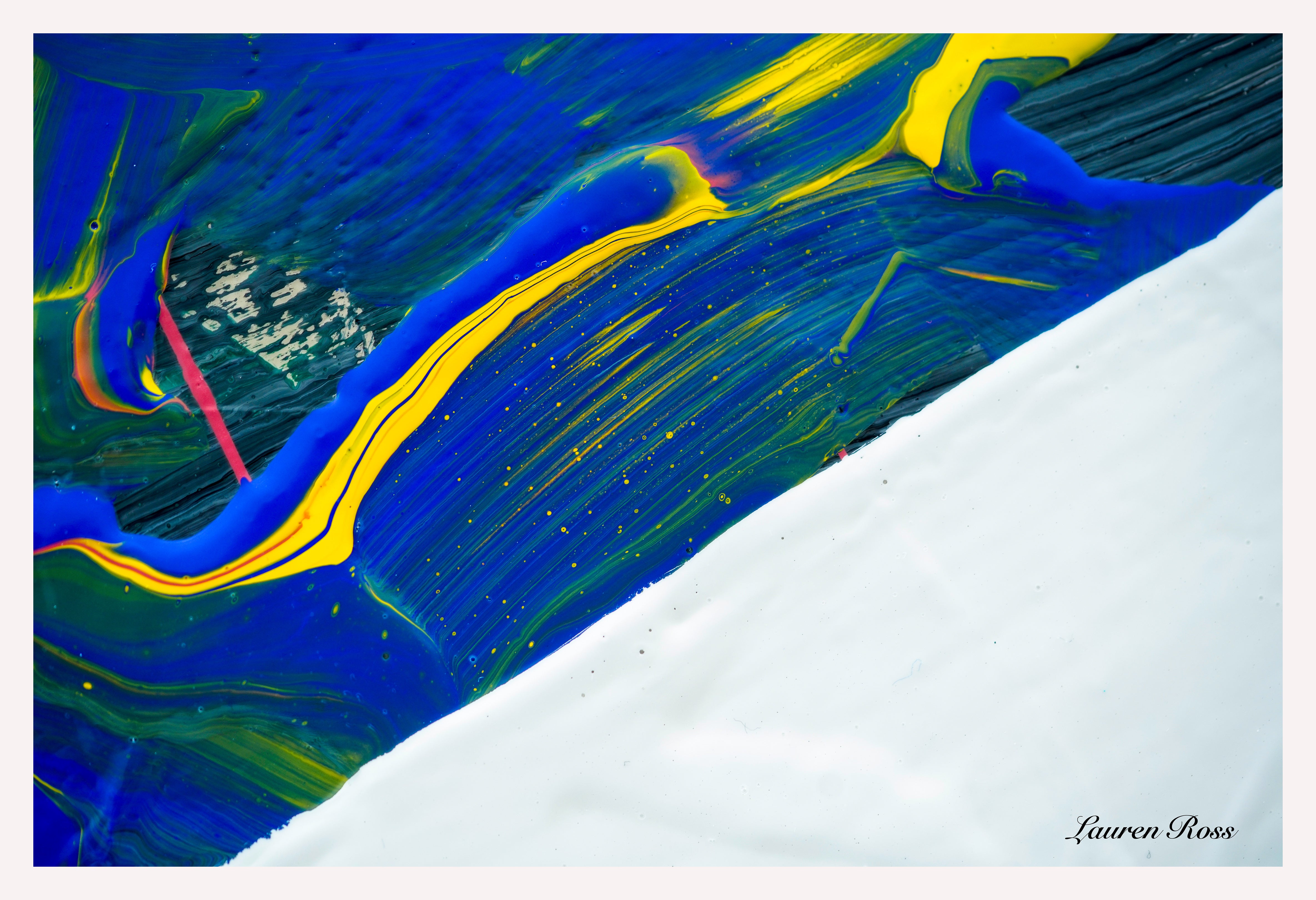 lauren ross design inside seven 24 print