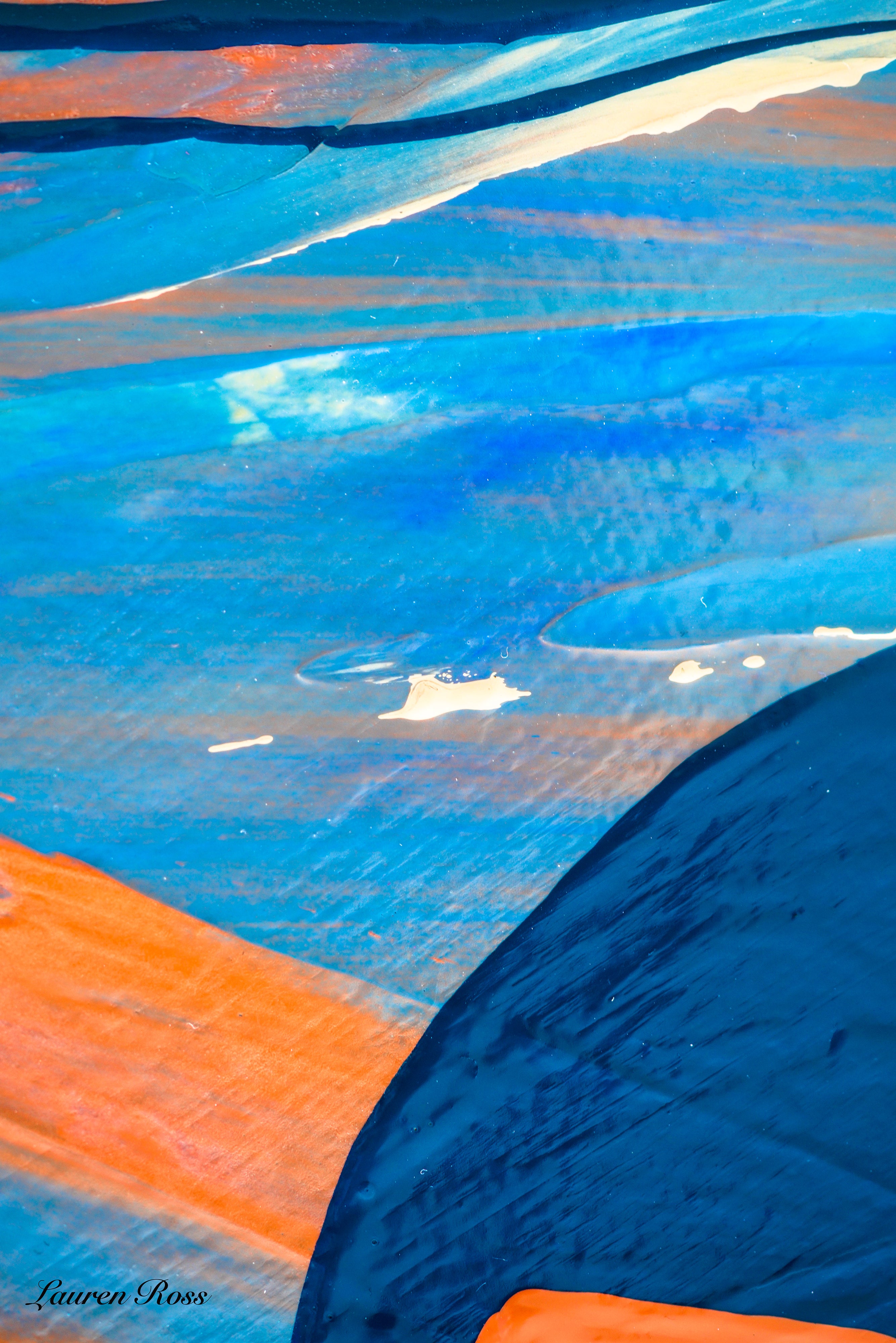 Inside Backwards 12 Canvas Wrap Lauren Ross Design