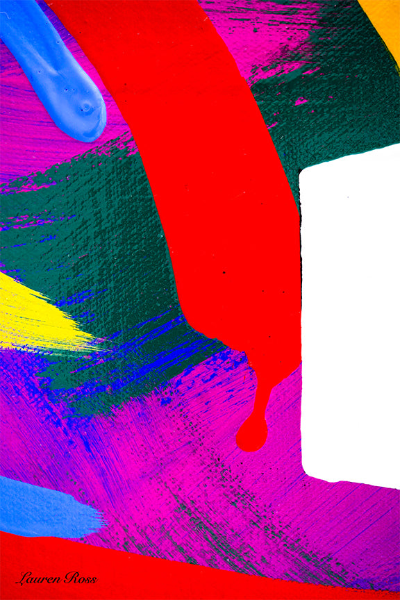 Inside Cryptography 13 Canvas Wrap Lauren Ross Design